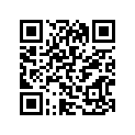 51100-29401-291 