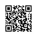 51100-31000-216 