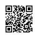 51100-41011 