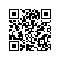51100-46041-291 