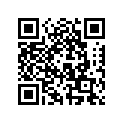 511000533 RH BAG