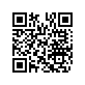 511000599 Lock