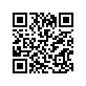 51103-45300 