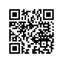 51104-31305 