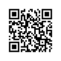 51104-33132 