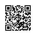 51104-49011 