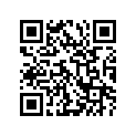 51110-01A00-000 Внутренняя трубка