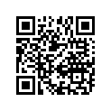 51110-06F11-000 