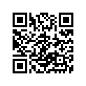 51110-08430-000 Внутренняя трубка