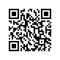 51110-10300-000 Внутренняя трубка