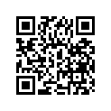 51110-15210 .inner Tube