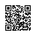 51110-17E00-000 
