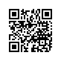 51110-23010 .inner Tube
