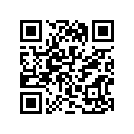 51110-29C20-000 