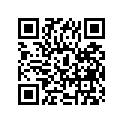 51110-34300-000 Внутренняя трубка
