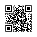 51110-38300 .inner Tube