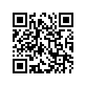 51110-43420 .inner Tube