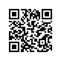 51110-45100 .inner Tube