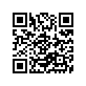 51110-45110-000 Внутренняя трубка