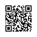 51110-45160-000 Внутренняя трубка