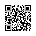 51110-45450-000 Внутренняя трубка