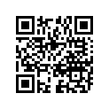 51110-46180-000 Внутренняя трубка