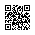 51110-47030 .inner Tube
