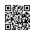 51110-47400 .inner Tube