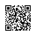 51110-47700-000 Внутренняя трубка