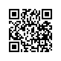 51110-48120-000 Внутренняя трубка