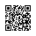 51110-48500-000 Внутренняя трубка