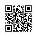 51110-49240-000 Внутренняя трубка