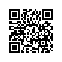 51110-49340 .inner Tube