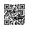51110-49510-000 Внутренняя трубка