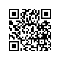51110-49530-000 Внутренняя трубка