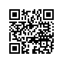 51110-49560-000 Внутренняя трубка