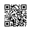 51130-29410-291 