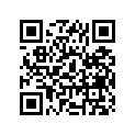 51130-38290-163 