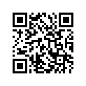 51130-49500-291 