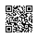 51131-05260-13L 