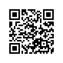 51140-38290-163 