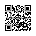 51171-24900 .spring