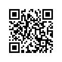51171-41010 