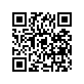51171-49250-000 Spring