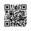 5117393 PASSENGERGRABSTRAP