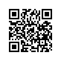 51176-14000-000 Кольцо/шайба