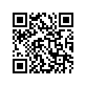 51181-00E00-000 O ring