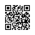 51181-11010 