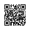 5118101 GRABSTRAP