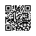 5118395A PASSENGERGRABSTRAP